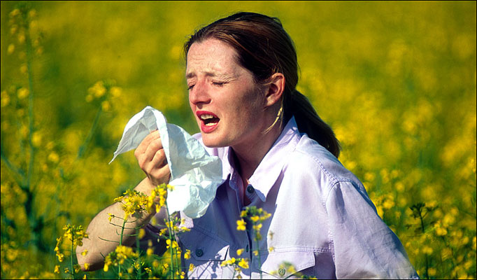 Best homeopathic doctors for treatment of allergic rhinitis hay fever. What is allergic rhinitis. Homeopathy remedies with cure for allergic rhinitis without anit allergens.